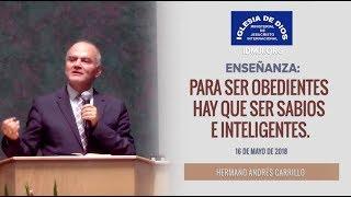 Enseñanza: Para ser obedientes hay que ser sabios e inteligentes - IDMJI - Hno Andrés Carrillo