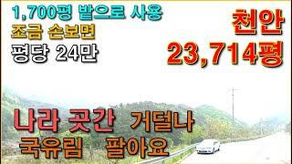 천안임야 23,714평  /  밭으로 사용 1700평 있음■  / 주말농장으로 수익 가능 // 도로접 / 전기 기본,  천안시내 근거리,  국유재산 처분