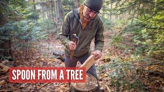 Wooden Spoon From a Tree. How I Hike to Find Storm Fallen Wood I Use to Make Spoons.