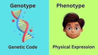 Genotype vs Phenotype