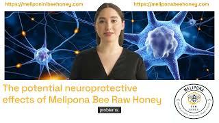 THE POTENTIAL NEUROPROTECTIVE EFFECTS OF MELIPONA BEE RAW HONEY