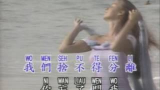 李碧華 - 未曾留下地址 (鑽石金曲)