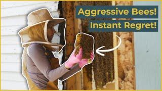 Aggressive Bees! Instant Regret!
