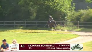 Show Lumet 2019 - Obstacle : Lot 45 - VIKTOR DE BONNVEAU