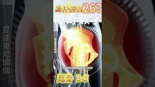 爲什麽昆達里尼瑜伽很多動作都是做26下？#昆達里尼 #昆達里尼瑜伽 #kundalini  #kundaliniyoga  #脊椎