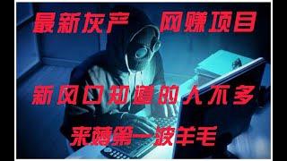 灰产捞偏门项目有多少是真实赚钱的？带你进入灰产黑U的世界，0风险纯网赚。