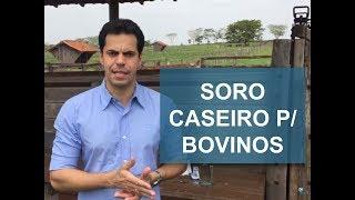 COMO PREPARAR SORO CASEIRO PARA BOVINOS?