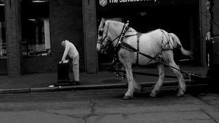 Victoria Citizens Respond to Horse Carriages in the City