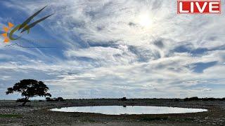 Namibia: Live stream at the Okaukuejo waterhole in Etosha National Park, Namibia