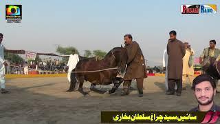 Mehnga ll Rohar ll Horse Dance ll Meeriak Sial Shorkot ll 16 17 Oct 2021