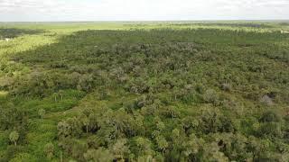 Prime Land For Sale Naples, Florida Buildable 5 Acres Bordering Private Nature Preserve