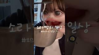 어떤 일본여자가 한국에 못가게 됐다고?! #일본여자 #vlog #일본인 #韓国留学 #韓国留学生