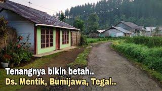 menikmati, indahnya pagi di desa, yg tenang || suasananya bikin betah, mentik, bumijawa, tegal.