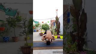 ️ Kukkutasana ️#yoga_with_me #yogashorts #viral #shorts #advanceyoga #advanceyogapose #kukkutasana