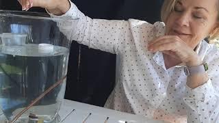 Dryf en sink