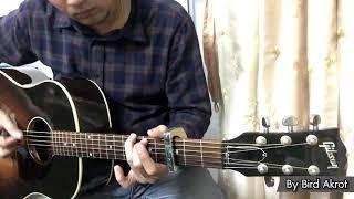 Test - Gibson J45 Standard (cover)