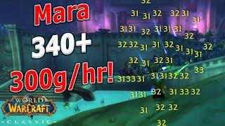 WoW Classic - Mara 1 Pull 340+! 300g/hr - 120k xp/hr! Powerlevel / Gold Farm