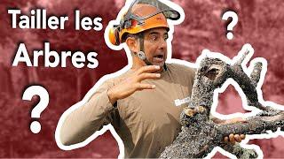 Élagage des Arbres - # 1 Les différents types de Taille