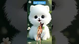 Funny Cat videos | #catdance #cat #catlover #kitten #cats #cutecat #viral #reels #trending #shorts