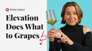 How Elevation Affects Grape Varieties (ep. 39) Wine Folly