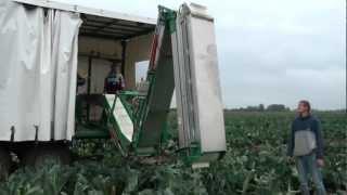Harvesting trailer with foldable harvesting belt | Sweere