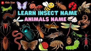 BELAJAR NAMA SERANGGA DALAM BAHASA INGGRIS | NAMES OF INSECT LEARN ANIMALS NAMA BINATANG NAMA HEWAN