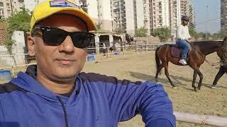 Dhreti Horse Riding #horse #horseriding #wildlife  #delhi First time