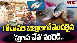 Pulasa Fish : గోదావరి జిల్లాలలో మొదలైన 'పులస చేప ' సందడి.. || ABN Telugu