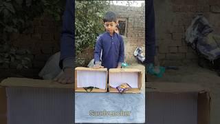 Choose the right box funny family game