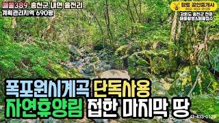 매물389 살둔계곡 최상류 단독계곡과 국유림 접한 최고의 자연인 토지 690평 1억5천만원