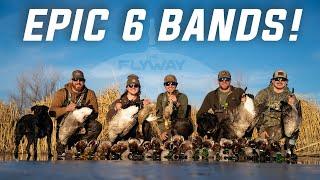 UNREAL Public Land 5 Man Duck Limit (6 LEG BANDS)