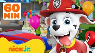 PAW Patrol Has a Big Party! w/ Marshall  1 Hour | Nick Jr.