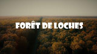 Forêt de Loches