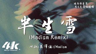 七叔(葉澤浩)/Madism - 半生雪(Madism Remix)『半生風雪 吹不散花落時節的眼淚。』【高音質|動態歌詞Lyrics】