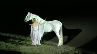 Equine Affaire 2017 Fantasia - Grande Liberte Sylvia Zerbini