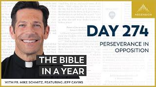 Day 274: Perseverance in Opposition — The Bible in a Year (with Fr. Mike Schmitz)