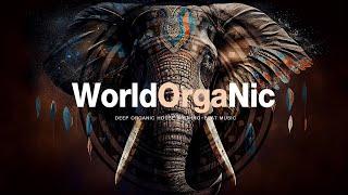 WORLD ORGANIC | Finest Organic & Oriental Deep House