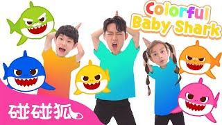 彩色的鲨鱼宝宝｜Colorful Baby Shark｜互动儿歌｜鲨鱼宝宝｜人气儿歌｜儿童歌｜精选儿歌｜中文儿歌｜碰碰狐儿歌｜碰碰狐Pinkfong