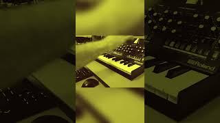 House live performance by Nub Music Techno Progressive House EDM Jam. Dawless Nicola Dudich