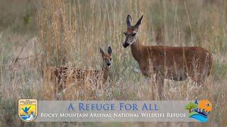A Refuge for All - Rocky Mountain Arsenal National Wildlife Refuge