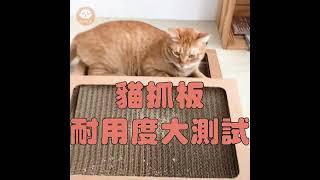 耐用測試！貓樂園自製商品【隨喵亂抓少掉屑】ParkCat隨喵抓 不易掉屑 機能性貓抓板 符合SGS安全檢測