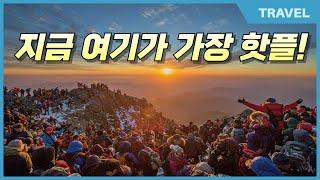 "눈 내린다고 하면 달려가세요"... 환상적인 설경이 기다리는 겨울 명소    #덕유산눈꽃 #덕유산상고대 #덕유산