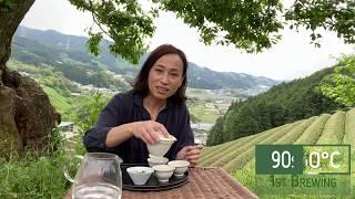 KYOTO KABUSE SENCHA - Harvest, Processing and Tea Brewing Guide