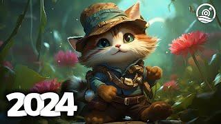 Music Mix 2024  EDM Mixes of Popular Songs  EDM Bass Boosted Music Mix #270