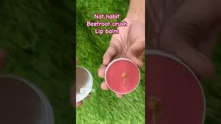 Nat habit beetroot crush lipbalm|dry lips|best lip balm |natural@stylehype #shorts #youtubeshorts