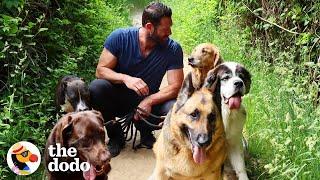 Hike With The World’s Best Dog Dad And His 9 Rescue Dogs!  | The Dodo Airbnb Experiences