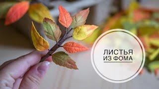 Autumn branches and leaves of foam / Осенние веточки с листьями из фоамирана / DIY Tsvoric