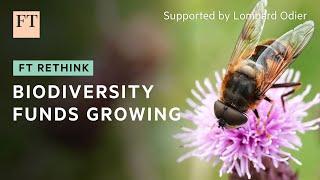 Biodiversity funds are springing up in the investor market | FT Rethink