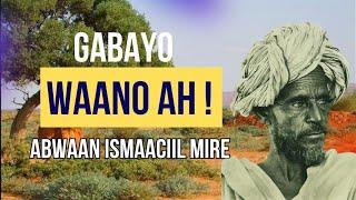 GABAY QORAAL || WAANO AH || ABWAAN ISMAACIIL MIRE