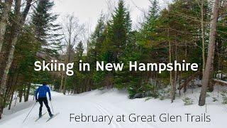 Cross-Country Skiing in NH